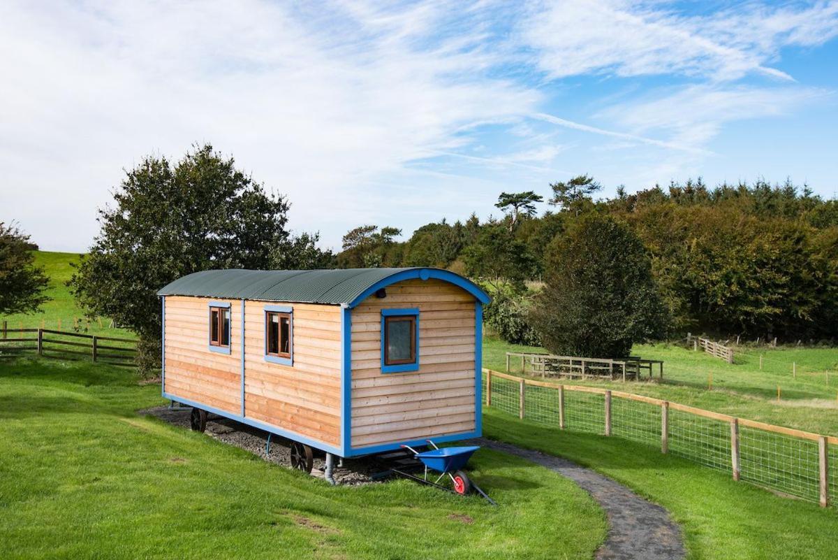 Cow Parsley Shepherd'S Hut Berwick Upon Tweed Esterno foto
