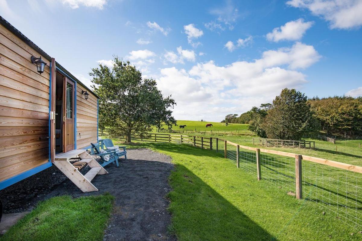 Cow Parsley Shepherd'S Hut Berwick Upon Tweed Esterno foto