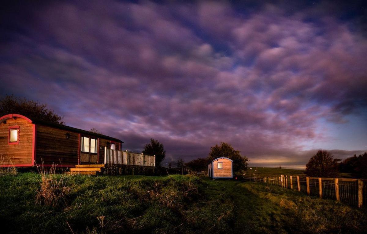Cow Parsley Shepherd'S Hut Berwick Upon Tweed Esterno foto